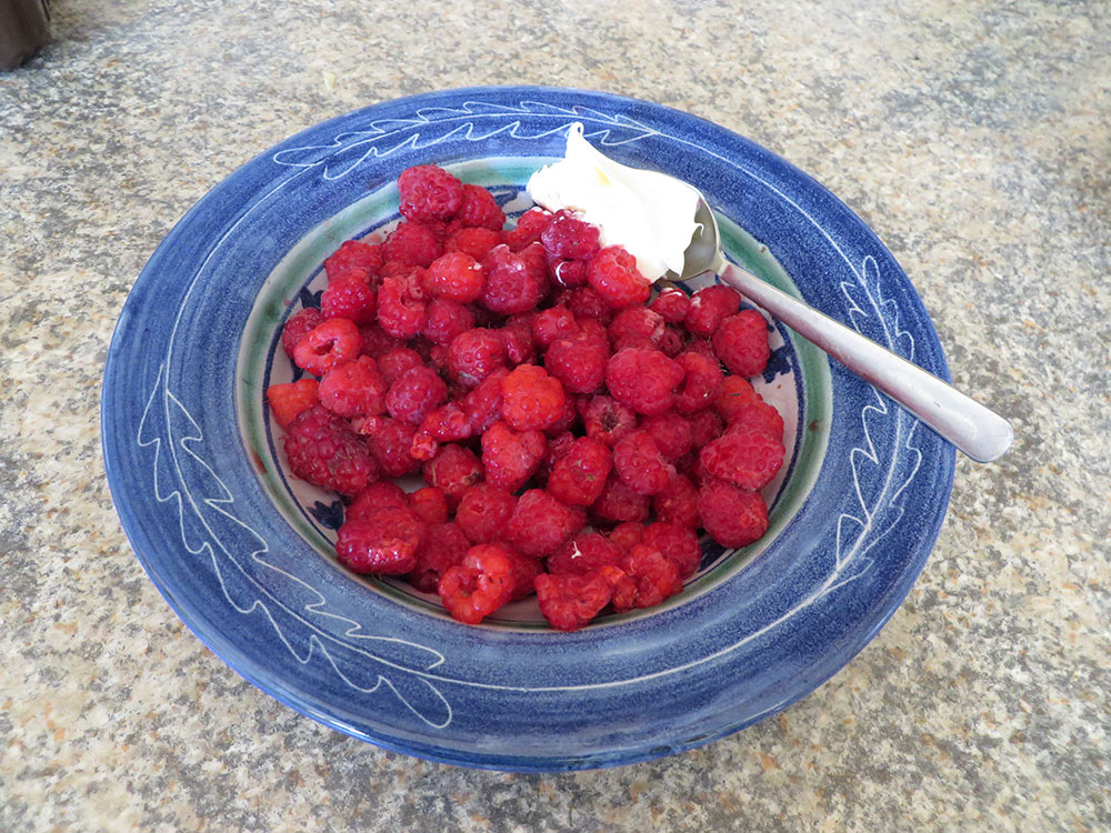 raspberries-and-clotted-cream