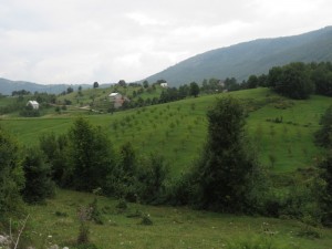 Montenegro countryside