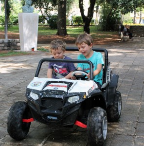 Tom driving Milo in the park