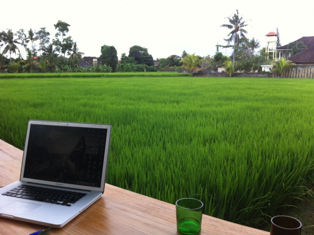Beauitful Ricefield views from my desk right next to The Living food lab which specialises in amazing Raw Food!