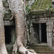 Siem Reap – Temples, Ruins and Running Wild