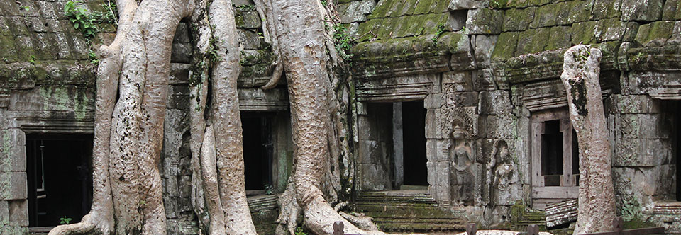 Siem Reap – Temples, Ruins and Running Wild