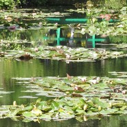 Monet’s Garden in Giverny
