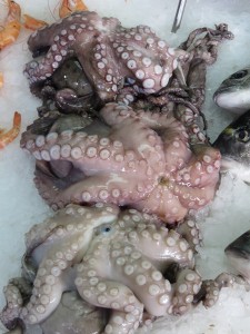 Locally caught Octopus